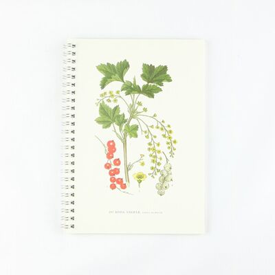 Blocco note Ribes rosso