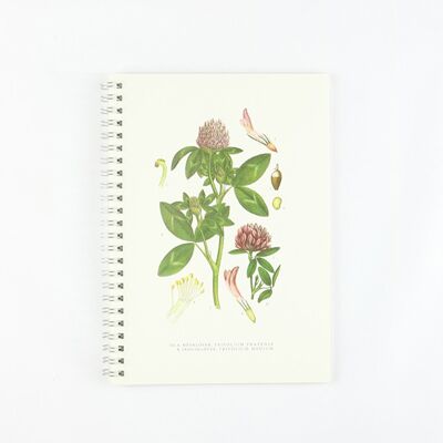 Notepad Red clover