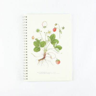 Blocco note Fragole