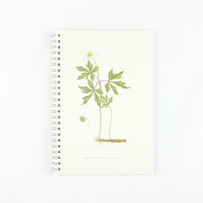 Blocco note Anemone bianco