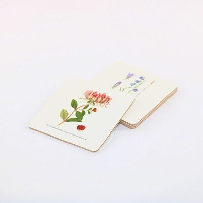 Coasters Summer flowers