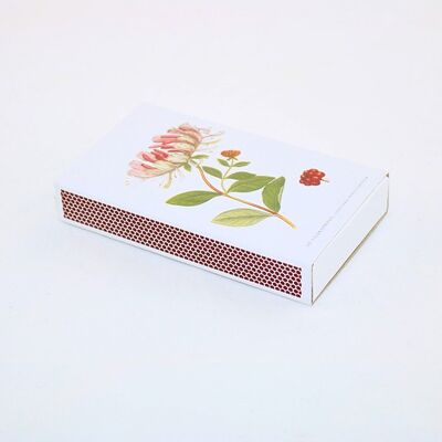 Matchbox Wild casquette friol