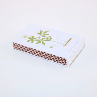 Caja de fósforos Vitsippa