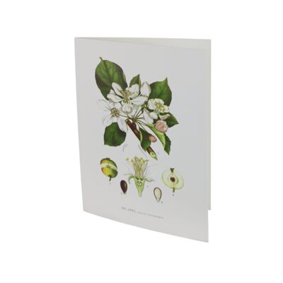 Tarjeta de felicitación Manzana - 10.5x15