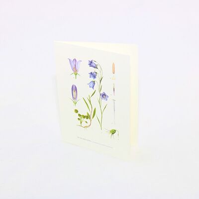 Biglietto di auguri Campanula - 15x21