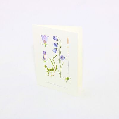 Greeting card Bluebell - 15x21