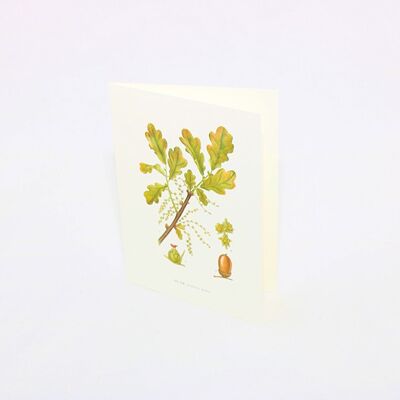 Greeting card Oak - 15x21