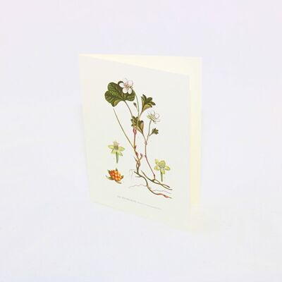 Greeting card Cloudberry - 15x21