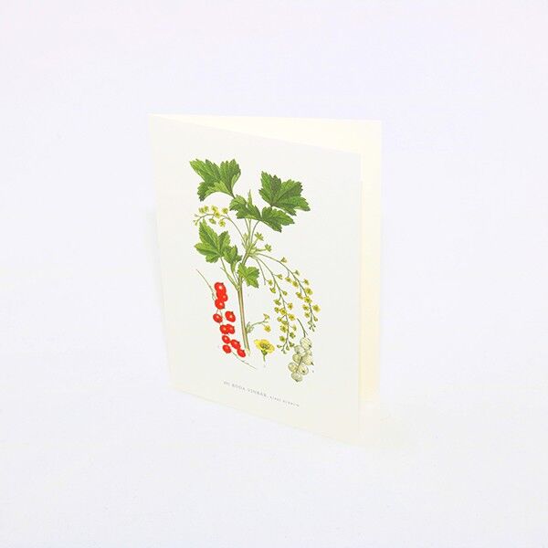 Grußkarte Rote Johannisbeeren - 15x21