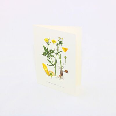 Greeting card Buttercup - 15x21