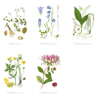 Grußkarte Sommerblumen - 10,5x15
