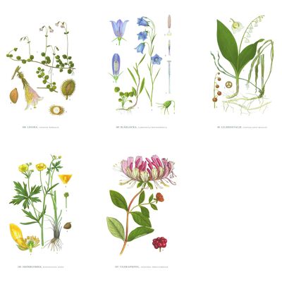 Grußkarte Sommerblumen - 15x21