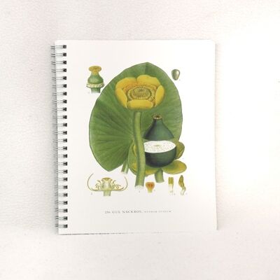 Notepad Yellow Water Lily