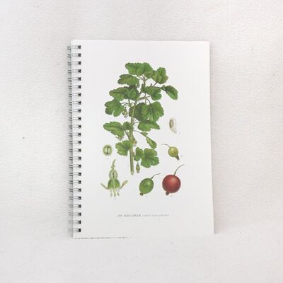 Notepad Gooseberries