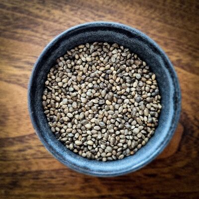 Roasted hemp seeds "Grillo'Chanv" 1 kg AB