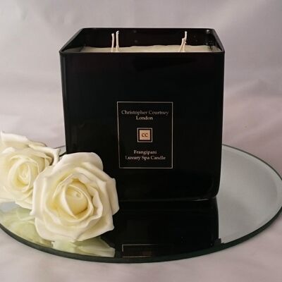 Balinese Ritual - Luxury Candle - 700g