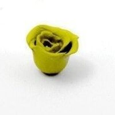 Style it Rose fonte jaune