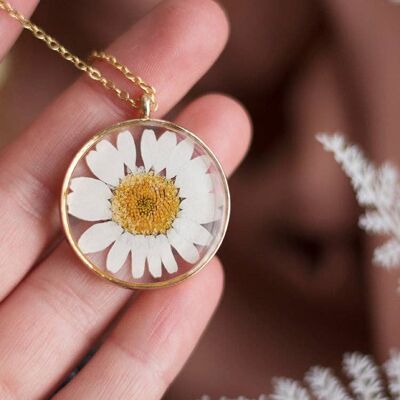 Bud - Pressed Flower Daisy Necklace_Gold plate