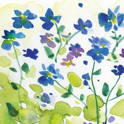 Forget-me-not Greetings Card
