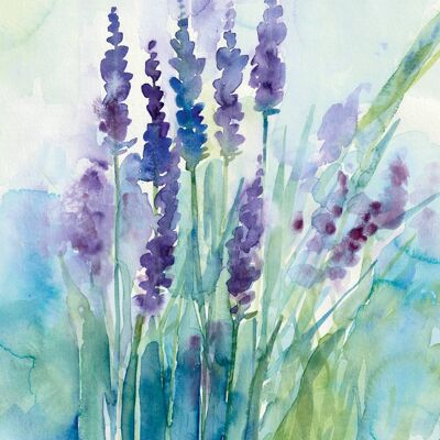 Lavender Field Greetings Card