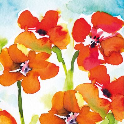 Nasturtiums Greetings Card