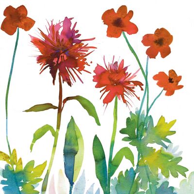 Poppies and Bergamot Greetings Card