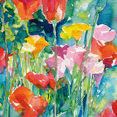 Poppies Greetings Card