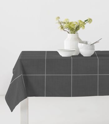 NAPPE 140*100 FENETRE ANTHRACITE 1