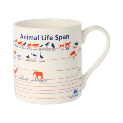 Animal Lifespan Mug 300ml