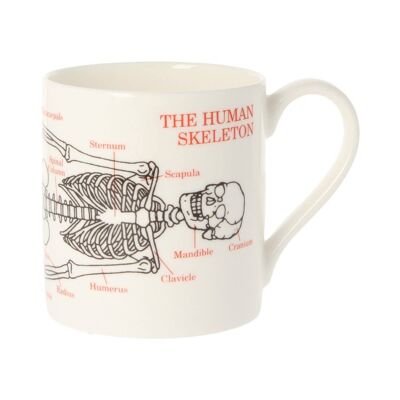 Human Skeleton Mug 300ml