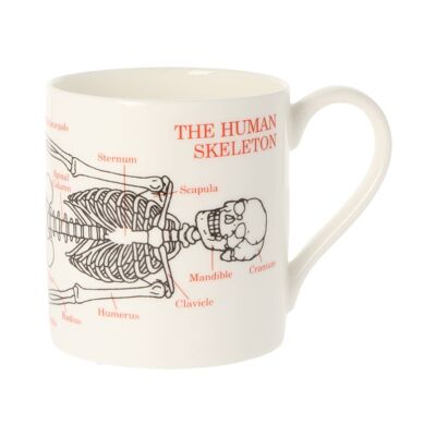 Human Skeleton Mug 350ml