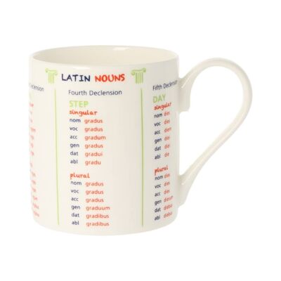 Latin Nouns Mug 350ml
