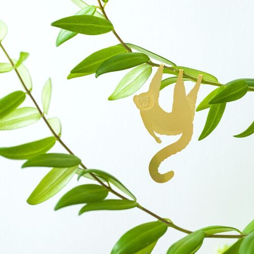 Plant Animal Hanging Lemur