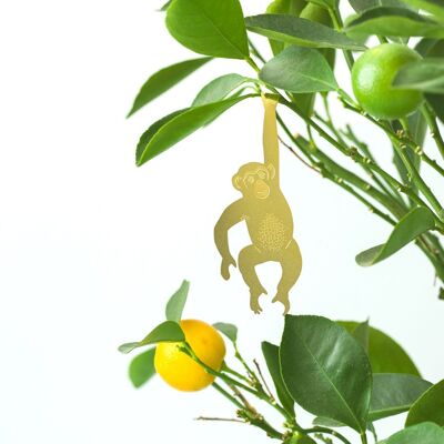 Planta Animal Chimpancé