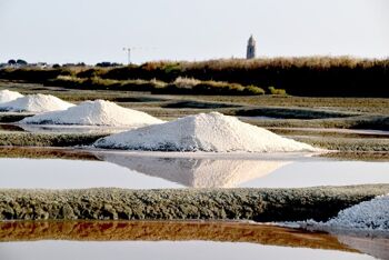 Fleur de sel de Guérande naturelle - 85gr 5