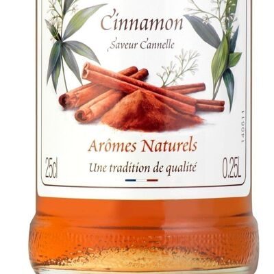 Sirop Saveur Cannelle MONIN pour aromatiser vos chocolats de Pâques - Arômes naturels - 25cl