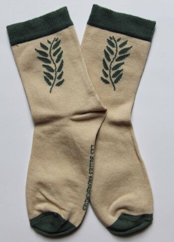 2 paires de chaussettes en coton bio dans leur boite Graminée vert 3