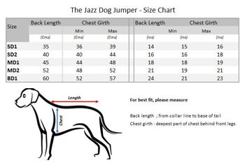 Le pull pour chien Jazz 10