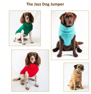 Le pull pour chien Jazz 1