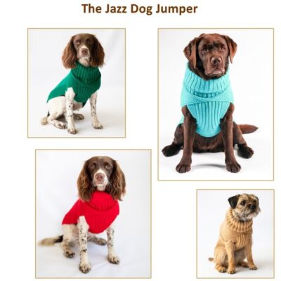 Il maglione Jazz Dog
