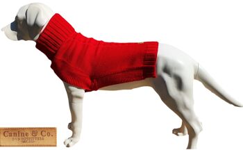 Le pull pour chien Jazz 2