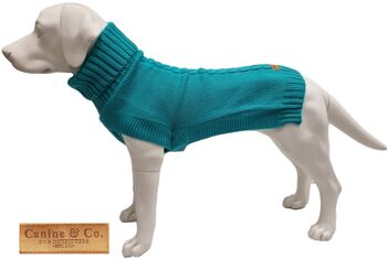 Le pull pour chien Jazz 4