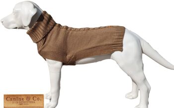 Le pull pour chien Jazz 6