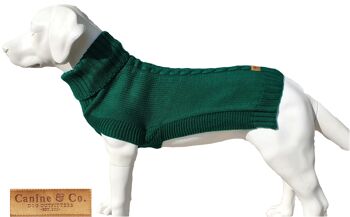 Le pull pour chien Jazz 8