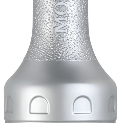 MONIN Mango Fruit - Natürliche Aromen - 1L