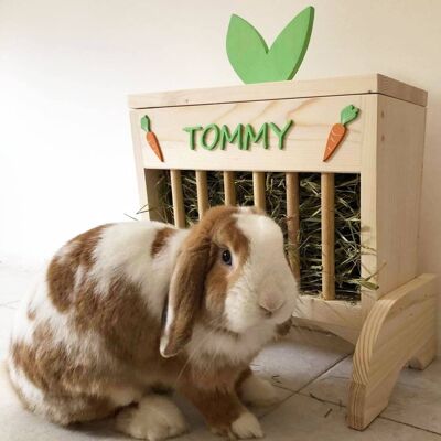Hay box for rabbits and rodents - fuchsia