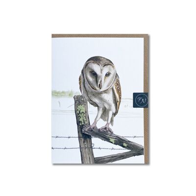 Barn Owl - Greeting Card