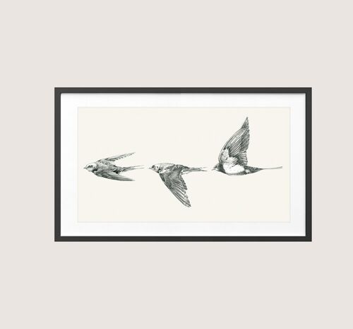 Gliders - Giclee Art Print (Art Prints)
