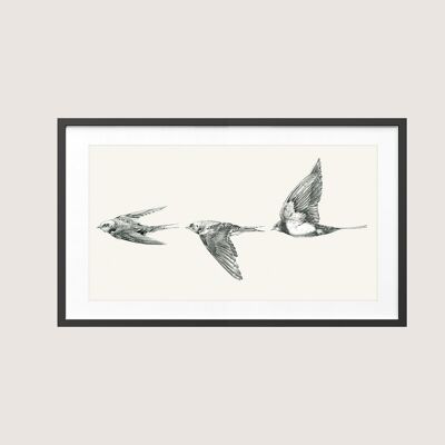 Gliders - Giclee Art Print (Art Prints)