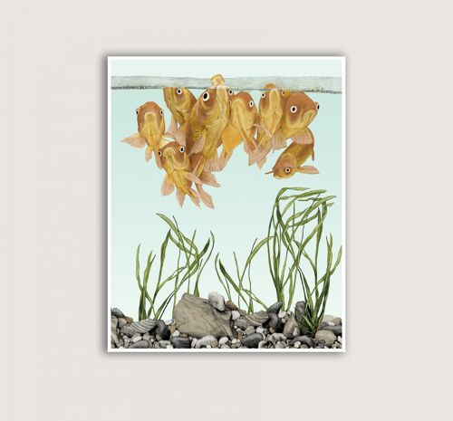 Goldfish - Art Print - 12x16 (Art-prints 12x16)